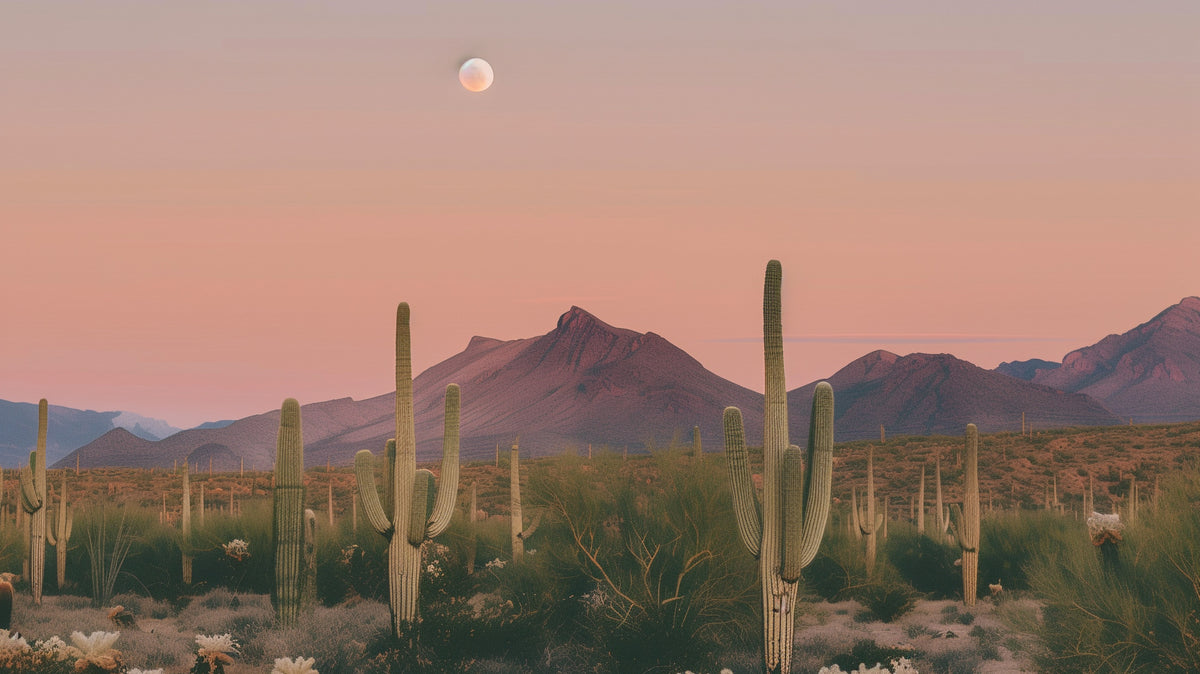 Harnessing the Magic of the Full Moon: Setting Intentions with Yinn