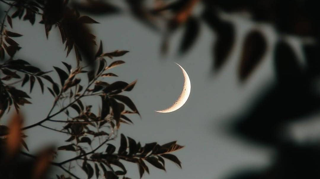 Can the Moon Have an Effect on Our Sex Life, Desires & Power To Manifest?