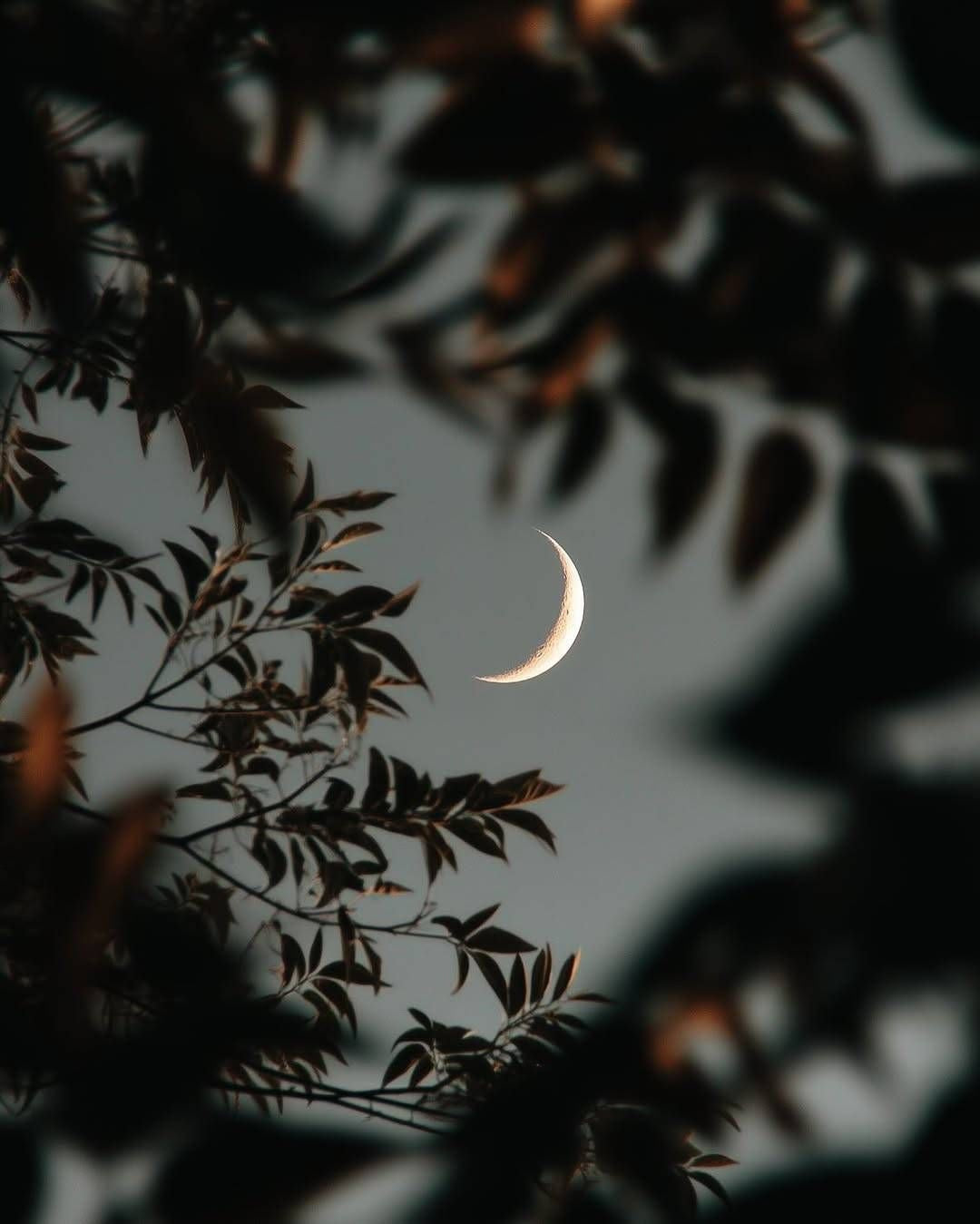 Can the Moon Have an Effect on Our Sex Life, Desires & Power To Manifest?